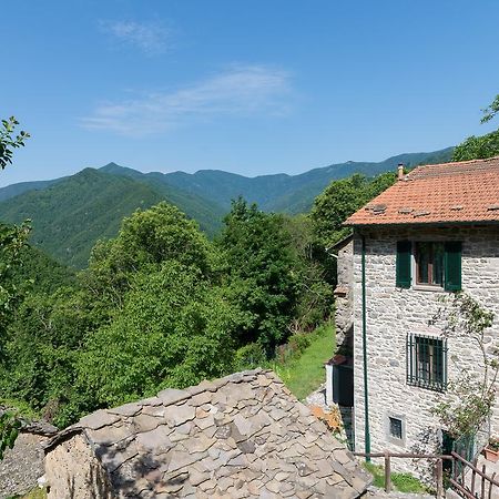 Гостевой дом La Casa Nel Bosco-Senza Auto Ponte della Venturina Экстерьер фото